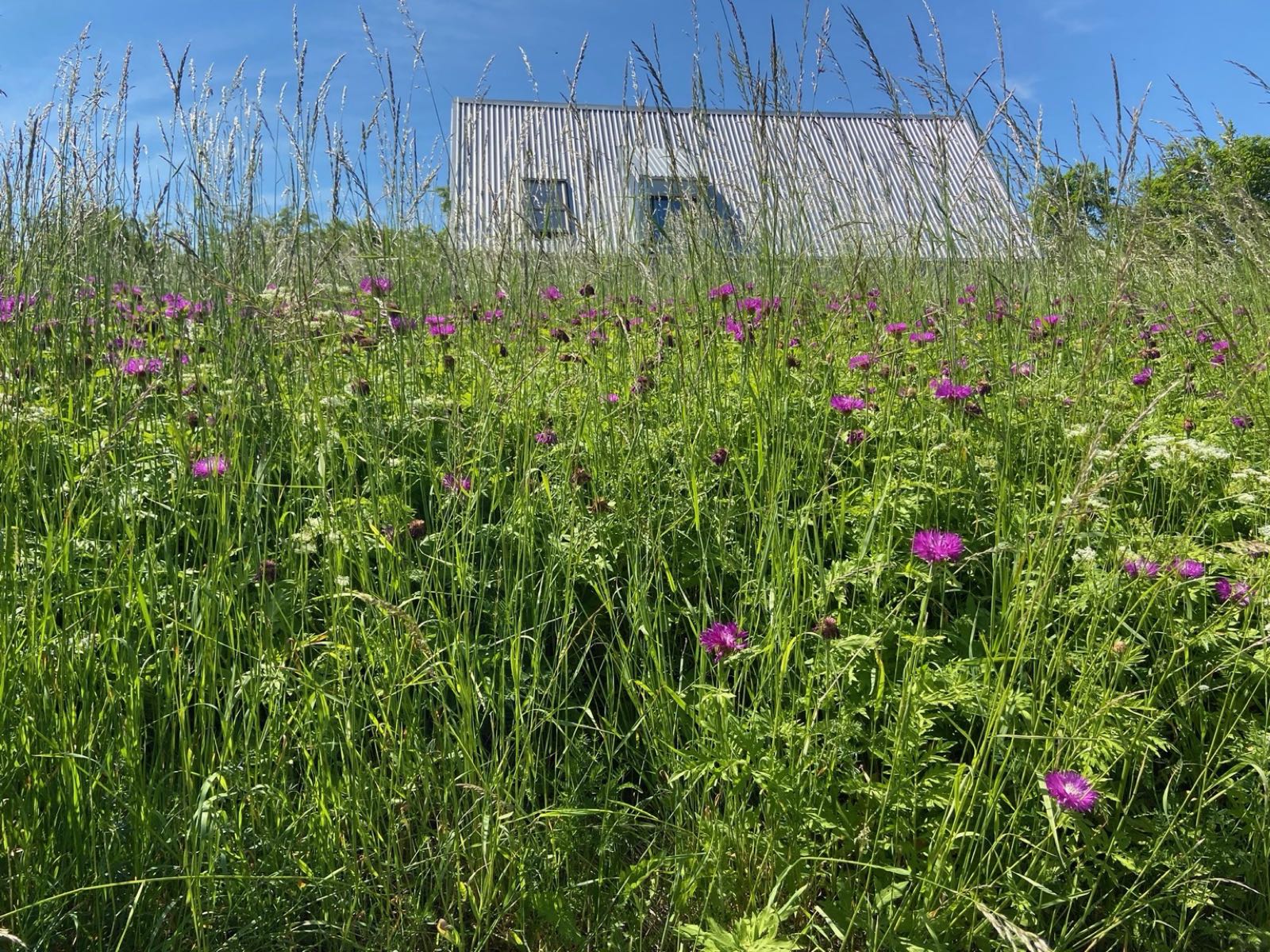 Weite Felder und Natur