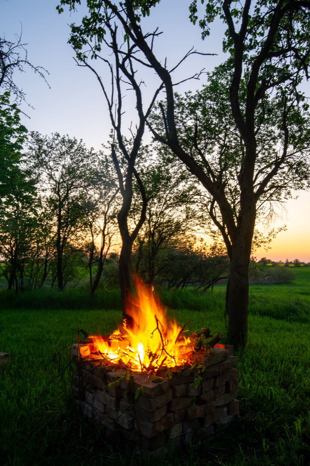 Lagerfeuer im Garten bei Sonnenuntergang
